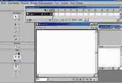 Macromedia Flash 5
