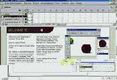 Macromedia Flash 5
