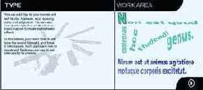 Macromedia Flash 5
