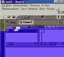 Macromedia Flash 5
