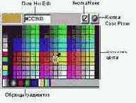 Macromedia Flash 5
