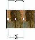 Macromedia Flash 5
