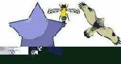 Macromedia Flash 5
