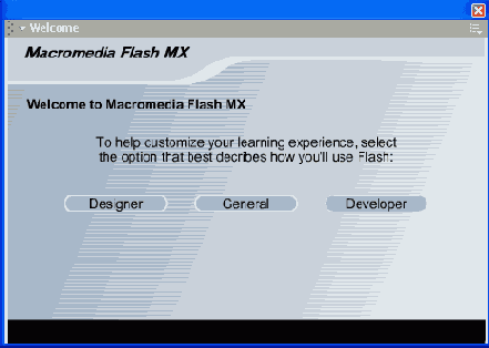    Flash MX
