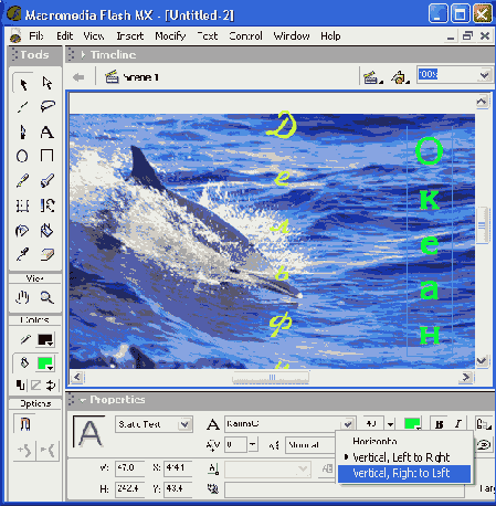    Flash MX
