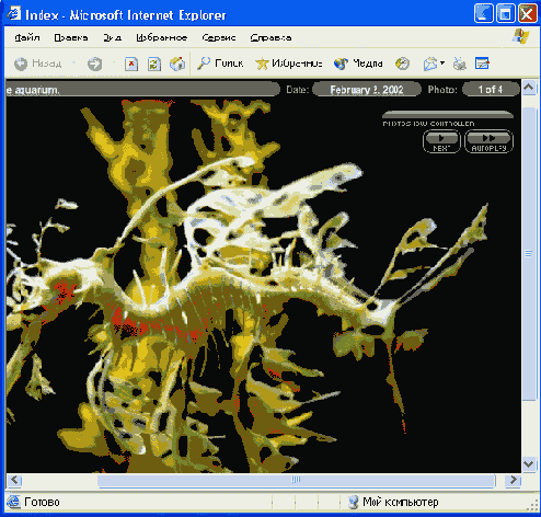    Flash MX
