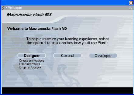    Flash MX
