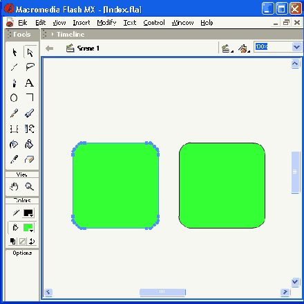    Flash MX
