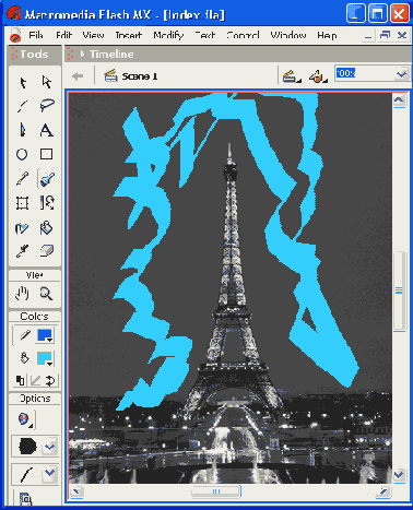    Flash MX
