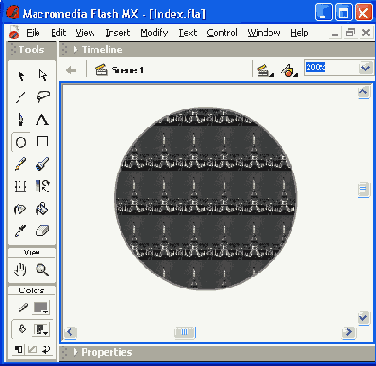    Flash MX
