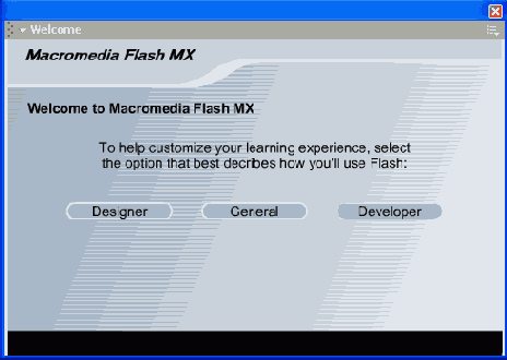   Flash MX