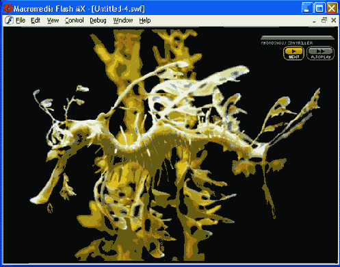  Flash MX