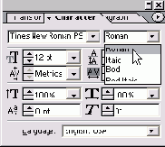 Использование палитры Character